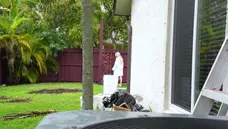 Big Tits Bounce As He Pounds Her Hard