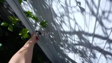 Black haired MILF rides it like a beast