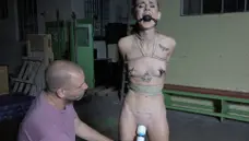 Submissed Pass: Babe finds irresistible BDSM HD